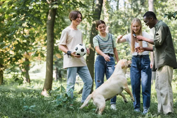 Multietnické Teenageři Fotbalovým Míčem Smartphone Hůl Stojí Poblíž Retrívra Parku — Stock fotografie