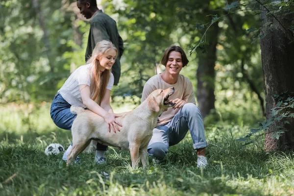 Amigos Sonrientes Acariciando Perro Recuperador Cerca Amigo Afroamericano Jugando Fútbol — Foto de Stock