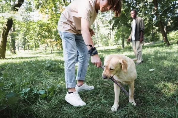 Adolescente Menino Segurando Vara Perto Retriever Parque — Fotografia de Stock