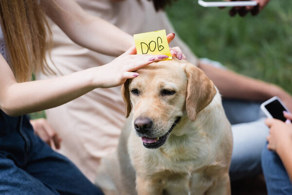 Cropped view of teenager holding sticker with dog lettering near retriever in park 