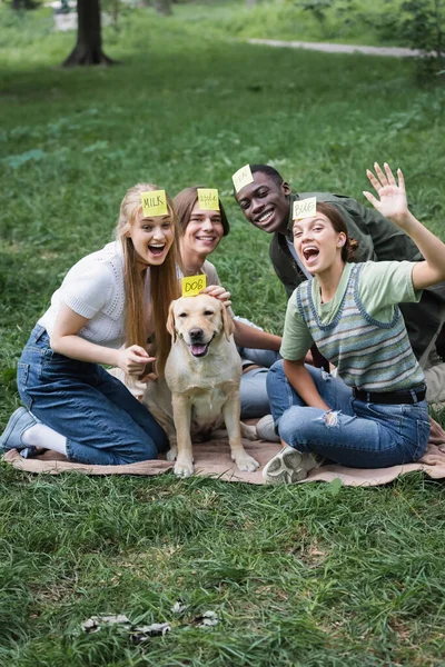 Izgatott Interracial Tinédzserek Nézik Kamerát Miközben Játszanak Hogy Vagyok Retriever — Stock Fotó