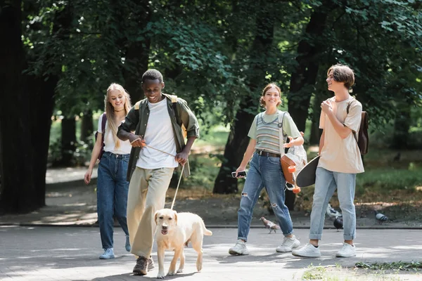 Leende Afrikansk Amerikansk Pojke Hålla Retriever Koppel Nära Vänner Parken — Stockfoto