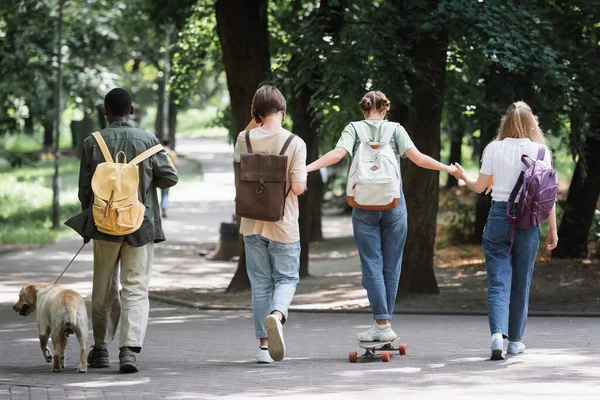 Πίσω Όψη Των Διαφυλετικών Εφήβων Skateboard Και Retriever Περπάτημα Στο — Φωτογραφία Αρχείου