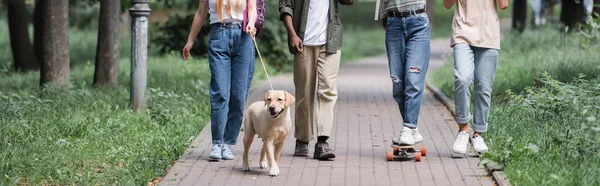 Cropped View Multiethnic Teenagers Skateboard Retriever Walking Park Banner — Stock Photo, Image