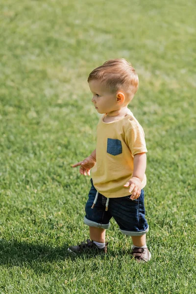 Full Length Toddler Boy Standing Green Grass — Stock Photo, Image