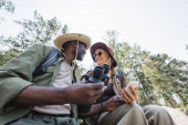 Nízký úhel pohledu pozitivních multietnických turistů držících smartphone a dalekohled v lese 