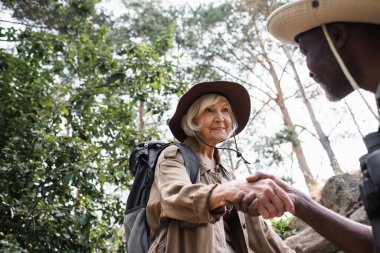 Afrika kökenli Amerikalı bir kocanın ormanda elini tutan yaşlı yürüyüşçü. 