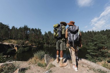 Back view of multiethnic hikers with backpacks standing on rock near lake and forest  clipart