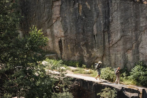 Side View Multiethnic Family Backpacks Walking Cliff Forest — Stock Photo, Image