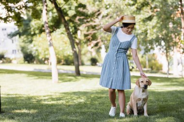 full length view of asian woman in straw hat and sundress stroking labrador in park clipart