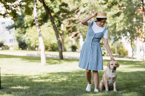 Full Length View Asian Woman Straw Hat Sundress Stroking Labrador — Stock Photo, Image