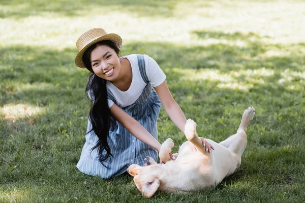 Joyful Asian Woman Looking Camera While Having Fun Labrador Lawn — Stock Photo, Image