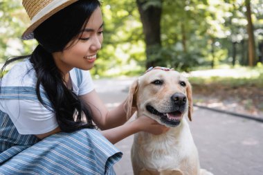 Genç Asyalı kadın parkta sarı labrador okşarken gülümsüyor.