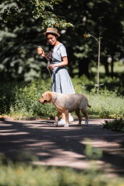 Sarı labrador 'la parkta yürürken elinde kahve tutan Asyalı kadın.