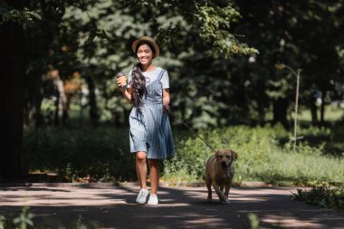 Genç Asyalı kadın labrador köpeği ve kahveyle parkta yürüyor.