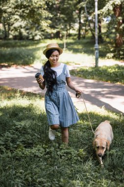 Kağıt bardaklı mutlu Asyalı kadın parkta köpekle geziyor.