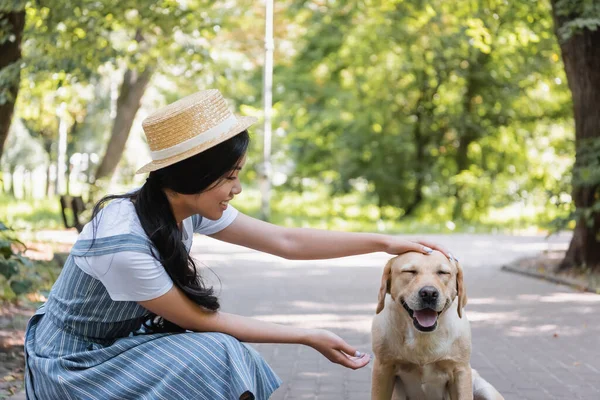 Femeie Asiatică Fericită Pălărie Paie Mângâiere Câine Mulțumit Parc — Fotografie, imagine de stoc