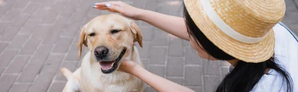 Hasır Şapkalı Kadın Labrador Köpeğini Dışarıda Okşuyor — Stok fotoğraf