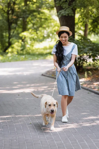 身穿条纹太阳衣 头戴黄色拉布拉多带着皮带在公园里散步的快乐的亚洲女人 — 图库照片