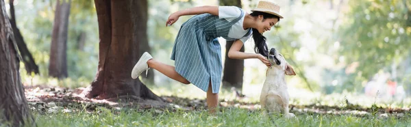 Happy Asian Woman Striped Sundress Stroking Labrador Park Banner — Stock Photo, Image