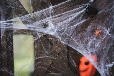 close up view of spider net with toy spiders on wooden fence decorated for halloween clipart