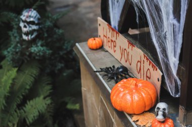 carton card with here you die lettering near orange pumpkins, skull and toy spider on porch clipart