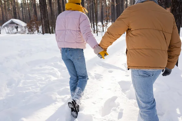 Cropped View Couple Holding Hands While Walking Snow Park — Stock Photo, Image