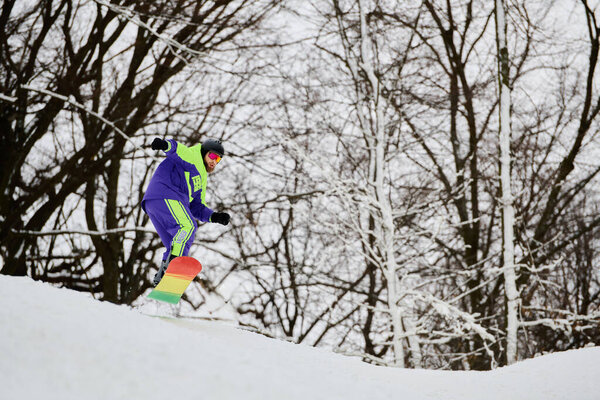 A bearded man snowboards down a snowy slope, surrounded by trees.