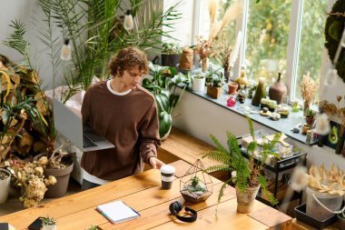 Genç bir adam, elinde bir dizüstü bilgisayar ve kahve olan yemyeşil bitkilerle yaratıcı işler yapıyor..