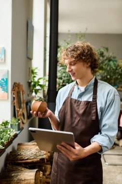 Önlüklü genç bir adam yaratıcı bir çalışma alanında tablet kullanırken bir bitkiye gülümsüyor..