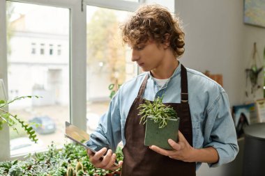 Önlüklü genç adam kapalı alanda güneşli bir bahçede tablet kullanırken saksı bitkisine hayran..