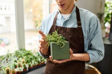 Genç adam canlı bir dükkanda çeşitli bitkilerle çevrili sulu bir tencereyle şık bir tencere tutuyor.