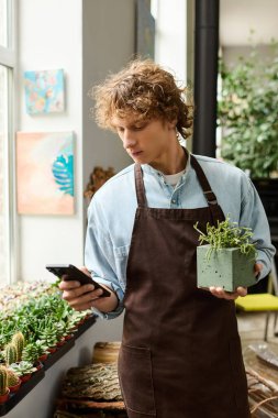 Renkli bir serada genç bir adam telefonunu kontrol ederken saksı çiçeği tutuyor..