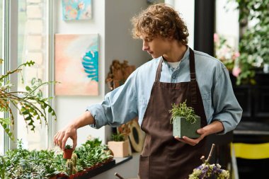 Kıvırcık saçlı genç bir adam canlı bir bahçedeki saksı bitkileriyle ilgileniyor..