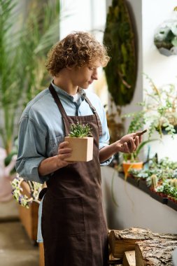 Önlüklü genç bir adam saksı çiçeği tutuyor ve yemyeşil bir bahçede telefonuna bakıyor..