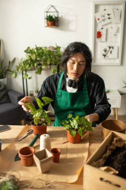 Genç bir çiçekçi, parlak, doğa dolu bir çalışma alanında güzel bitkiler yetiştirir..
