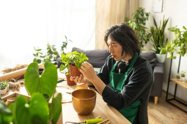Genç çiçekçi, rahat ve hayat dolu bir çalışma alanında canlı bitkilerle ilgileniyor..