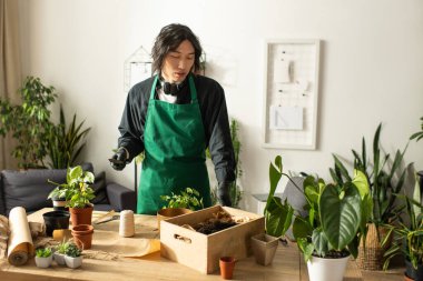 Genç bir adam çiçek ve bitkileri dikkatlice yeşilliklerle dolu huzurlu bir çiçek stüdyosuna yerleştirir..