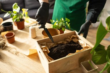 Kendini adamış bir çiçekçi etrafı saksı ve aletlerle çevrili ahşap bir kutuda toprağı dikkatlice hazırlar..