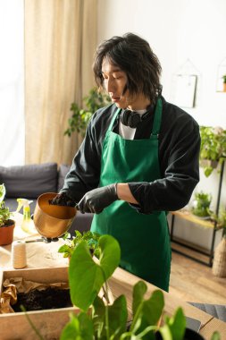Yeşil önlüklü genç bir adam parlak bir odaya çiçek dikerken toprağı dikkatle idare eder..