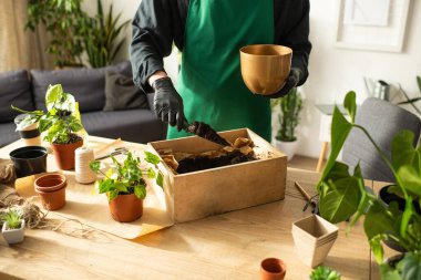 Genç bir Asyalı çiçekçi ustalıkla bitkileri ve toprağı canlı, davetkar bir mekanda hazırlıyor..