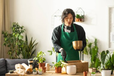 Asyalı bir adam, çiçekçi dükkanında saksı ve bitkileri dikkatlice düzenler..