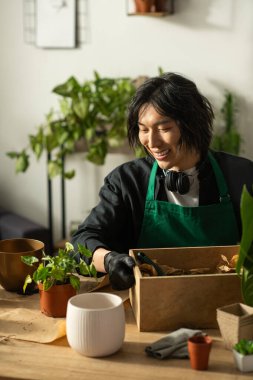 Genç bir Asyalı çiçekçi, çiçeklerini parlak bir çalışma alanında saksılarken gülümsüyor..