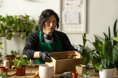 Genç Asyalı bir çiçekçi dikkatlice yeşilliklerle çevrili bir kutu taze bitkiyi ayırıyor..