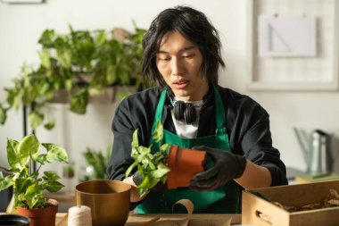 Genç adam, yeşillik ve aletlerle çevrili bir saksıya dikkatlice bir bitki yerleştirir..