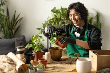 Genç çiçekçi çiçekleri gülerken parlak ve sıcak kapalı bir alanda doğal bir dekorla çiçek yetiştiriyor..