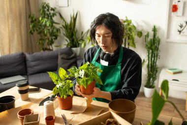 Çiçekçi, yeşil alanlarla çevrili, parlak bir bahçedeki canlı bitkileri dikkatlice inceler..