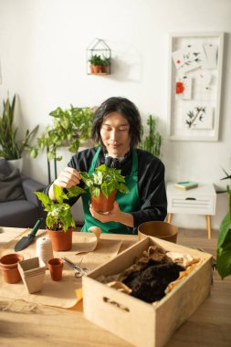 Genç bir çiçekçi, canlı bir çalışma alanında besleyici bir ruh sergileyerek saksılara bakar..