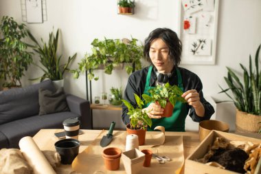 Genç bir Asyalı çiçekçi yeşillikle süslenmiş parlak, davetkar bir stüdyoda saksı bitkilerine odaklanıyor..