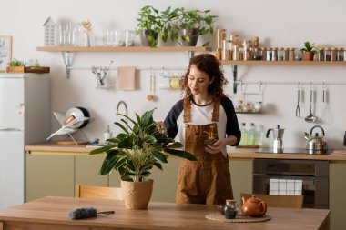 Kıvırcık saçlı genç bir kadın şık bir evde bitkilerini temizlemekten ve yetiştirmekten hoşlanır..